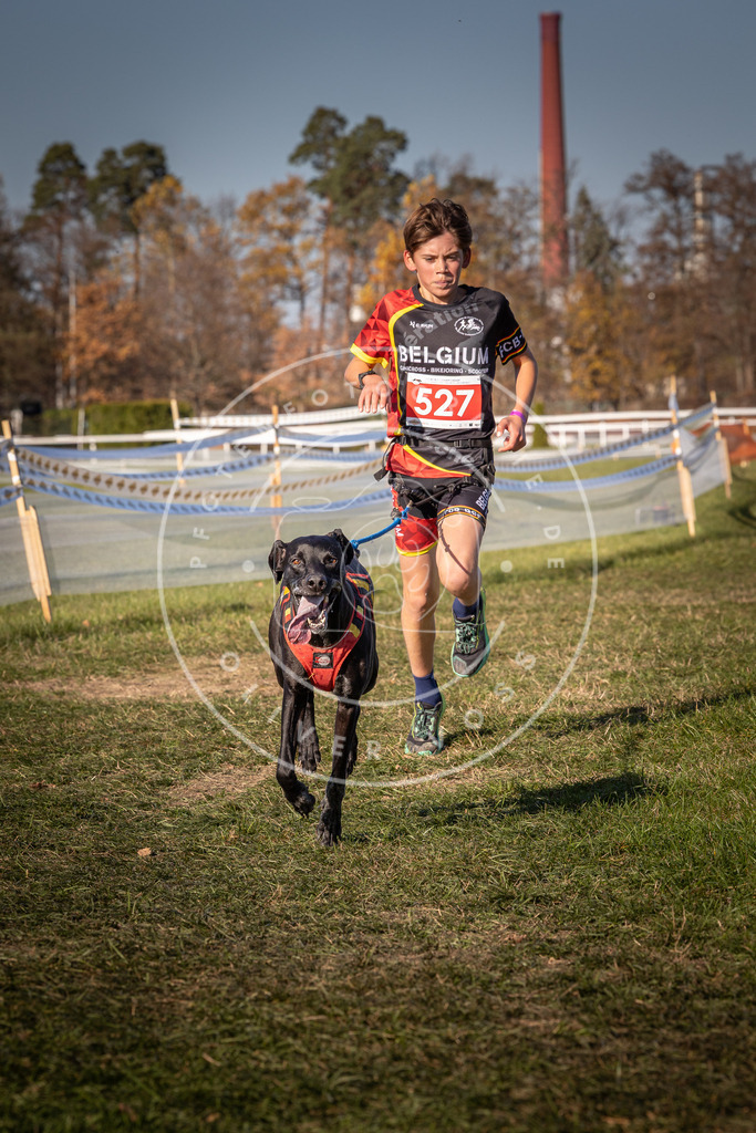 CaniXpix_0L8A7245 | Hundefotografie, Tierfotograf, Pfotenfotografie, Fotoshooting Hund, Hunde Portrait, Hundesport, Hundeportraits, Heideshooting, Hunde, Sportfotograf, Hundefotograf, Turnierhundsport, THS,  - Realisiert mit Pictrs.com