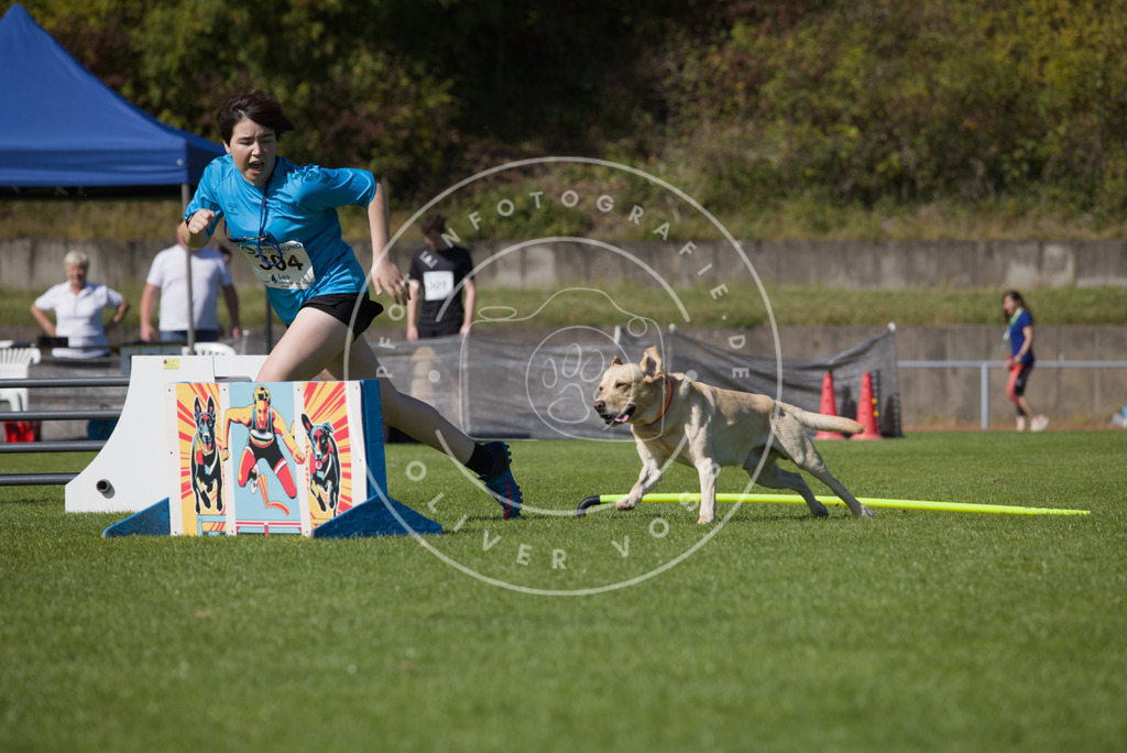 0L8A7392 | Hundefotografie, Tierfotograf, Pfotenfotografie, Fotoshooting Hund, Hunde Portrait, Hundesport, Hundeportraits, Heideshooting, Hunde, Sportfotograf, Hundefotograf, Turnierhundsport, THS,  - Realisiert mit Pictrs.com