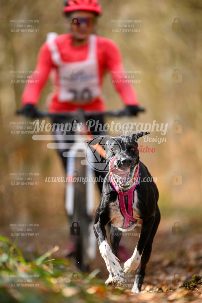 MompixPhotography_ReiatRennen2024_SO_DS1-19 | PayLife