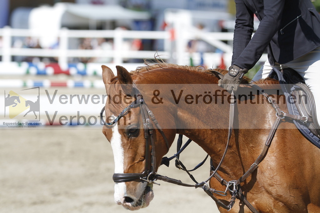 _MG_1741 | equestrian-live-com