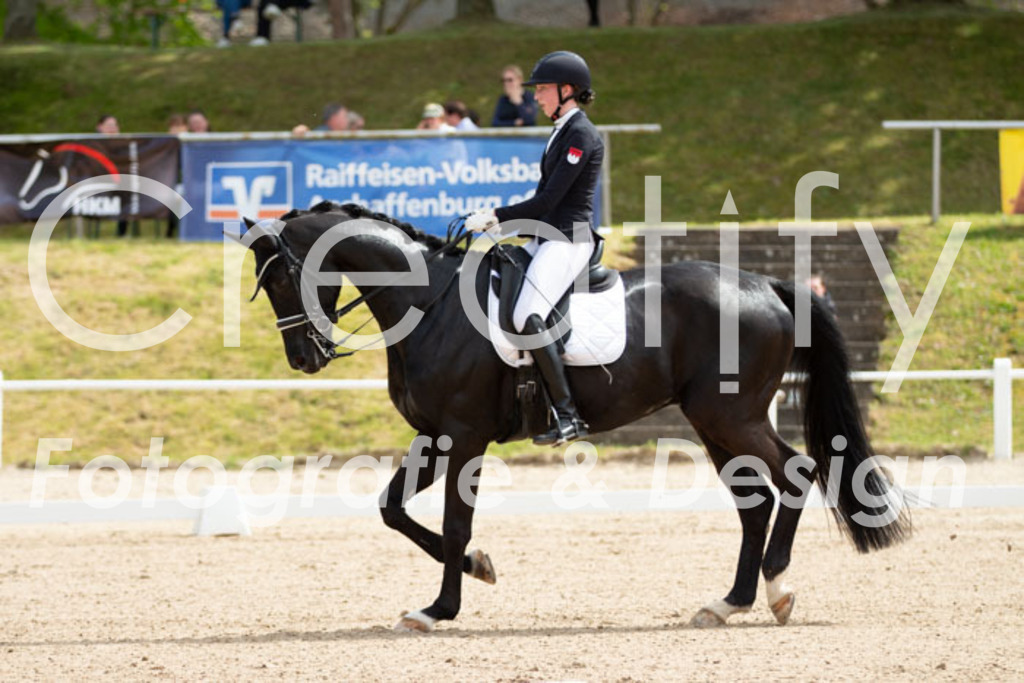 IMG_6653 | Creatify Fotografie