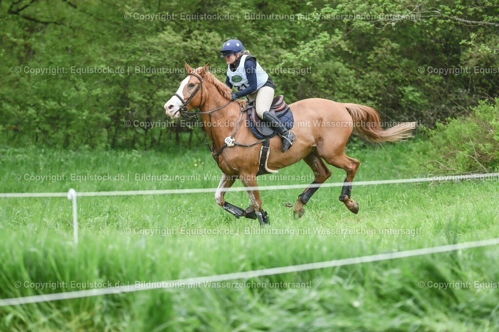 20230513_CCI2_Section2_Gelände_0062 | equistock