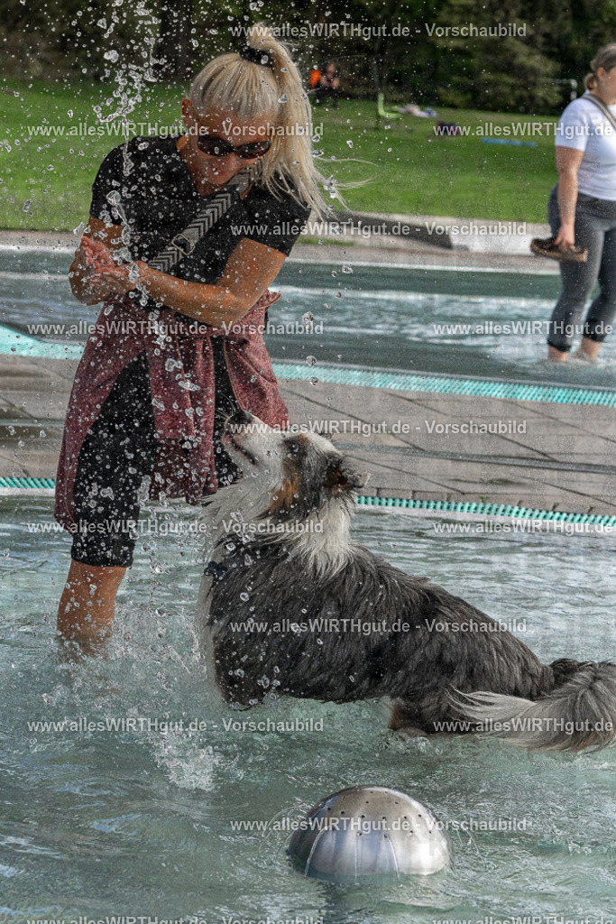 Hundeschwimmen_Volksbad_2026-allesWIRTHgut_Tierfotografie-2609061512-FAY07160 | Professionelle Tierfotografie in Mönchengladbach von Daniel Wirth (allesWIRTHgut). Liebevolle & natürliche Bilder von Hunden & Katzen für unvergessliche Erinnerungen.