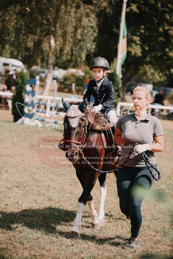 DSC_6212 | Pferde- und Turnierfotografie in Westsachsen. Pferdeportraits, Auftragszeichnungen und intuitive Kunst.
