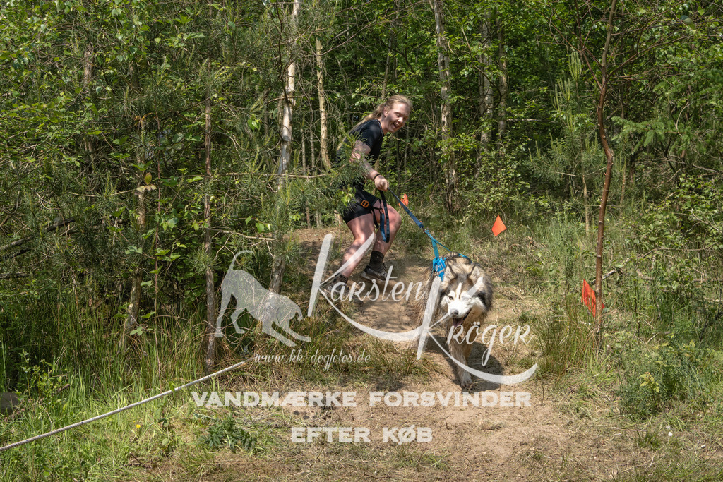 1059DKK991795 | kk-dogfotos