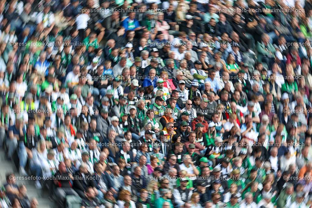 BMG14092402145 | 14.09.2024, 1. Fußball Bundesliga, Borussia Mönchengladbach - VfB Stuttgart, Borussia-Park, Saison 2024 2025: Borussia-Fans auf der TribüneDFB regulations prohibit any use of photographs as image sequences and or quasi-video.