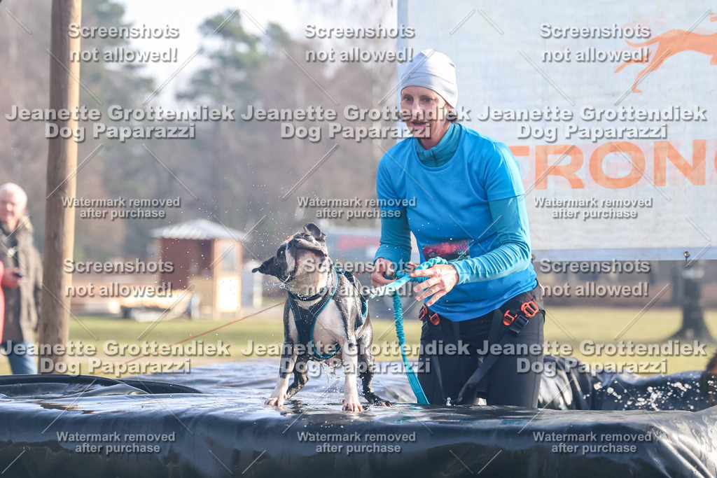 Dog Paparazzi - Strongdog North Mrz26-84 | Dog Paparazzi Jeanette Grottendiek Fotografie & Videografie - Realisiert mit Pictrs.com