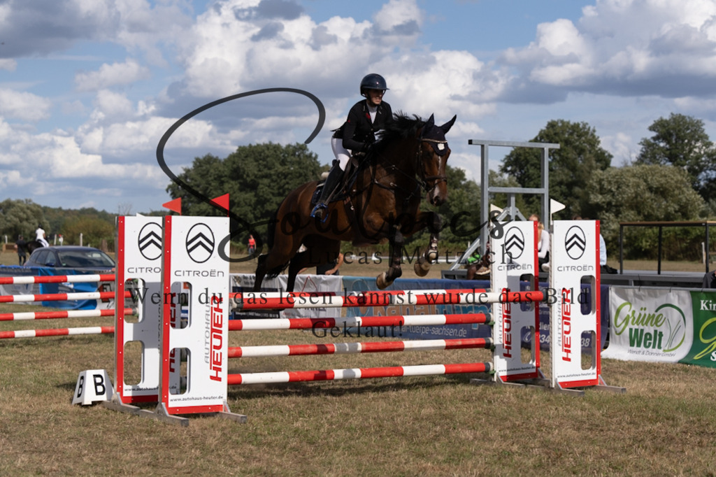 A7V09421 | Pferdefotograf