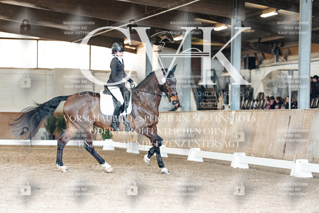 CK901941 | Turnierfotografie Pferdefotografie Trier Rheinland-Pfalz Pferdesport Reitsport Tierfotografie Sportfotografie Pferdevideo Pferdevideografie Equestrianvideography equestrianphotography  - Realisiert mit Pictrs.com