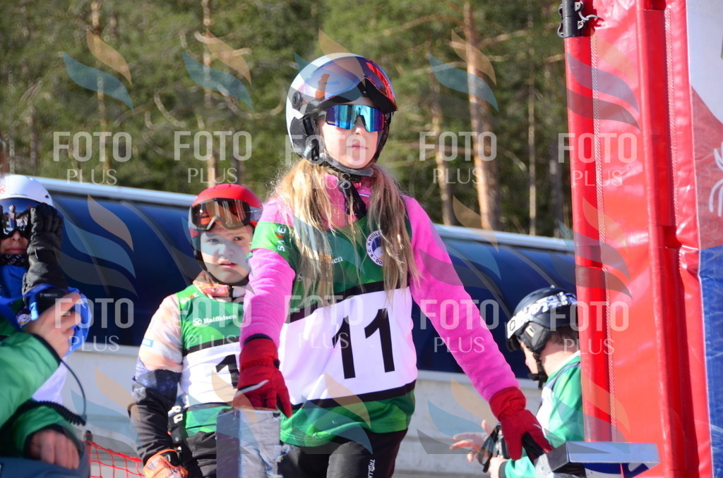 C4601 | holidayphoto