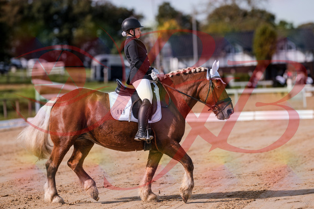 2026_10_03_Siefer-Hof_114106_Z81_84000542 | Professionelle Reitsport-, Turnier- und Eventfotografie von Robert Broda. Galerien mit ausgewählten und bearbeiteten Bildern direkt online ansehen und bestellen.