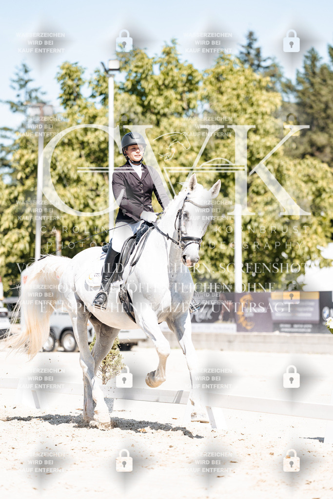 CK909928 | Turnierfotografie Pferdefotografie Trier Rheinland-Pfalz Pferdesport Reitsport Tierfotografie Sportfotografie Pferdevideo Pferdevideografie Equestrianvideography equestrianphotography  - Realisiert mit Pictrs.com