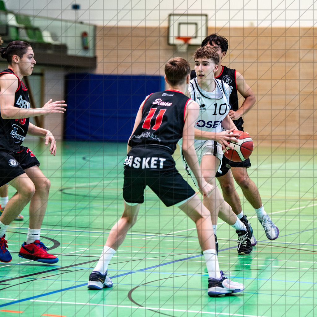 @Martin König_20240622__DSC1125 | bullenfotos|de - Realisiert mit Pictrs.com