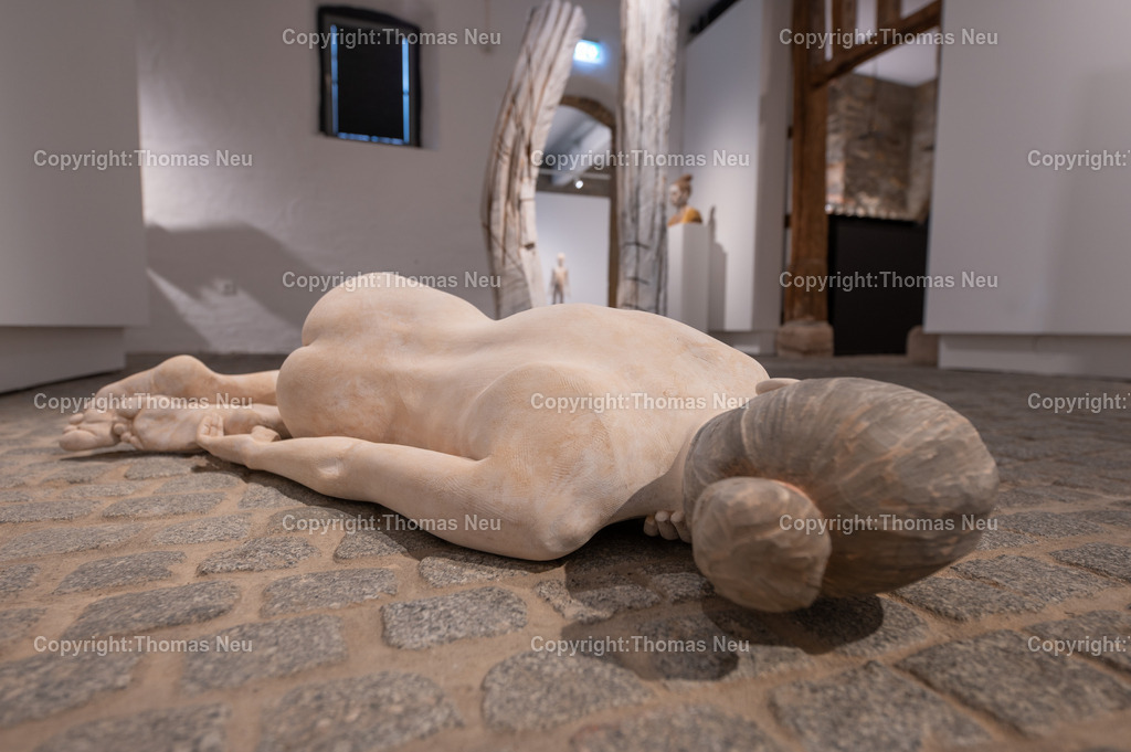 DSC_9110 | Museum Bensheim, Ausstellung Jochen Walpoth, 