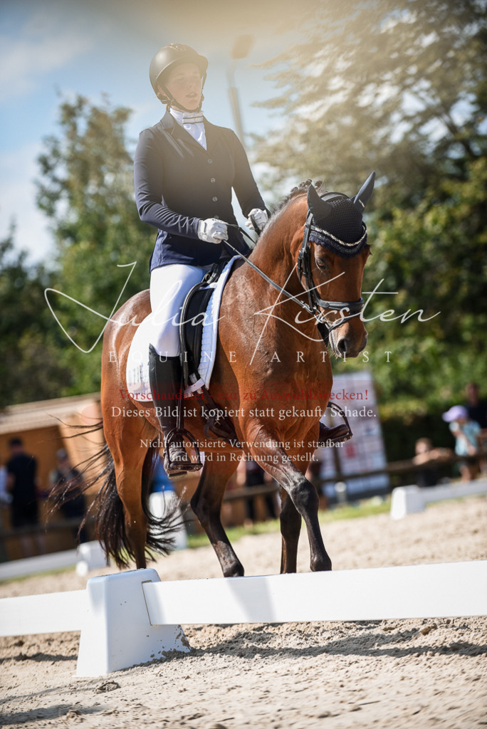 DSC_9464 | Pferde- und Turnierfotografie in Westsachsen. Pferdeportraits, Auftragszeichnungen und intuitive Kunst.