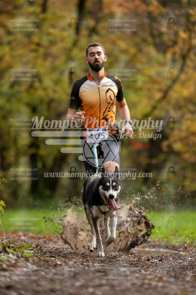 MompixPhotography_Bischwiller23_Canicross-52 | PayLife