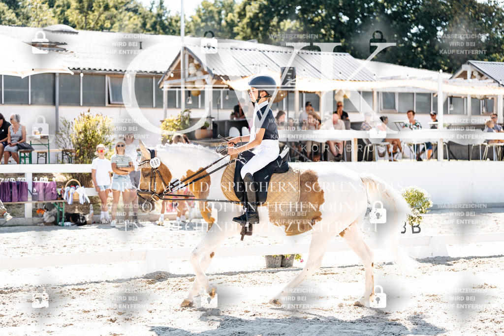 CK902564 | Turnierfotografie Pferdefotografie Trier Rheinland-Pfalz Pferdesport Reitsport Tierfotografie Sportfotografie Pferdevideo Pferdevideografie Equestrianvideography equestrianphotography  - Realisiert mit Pictrs.com
