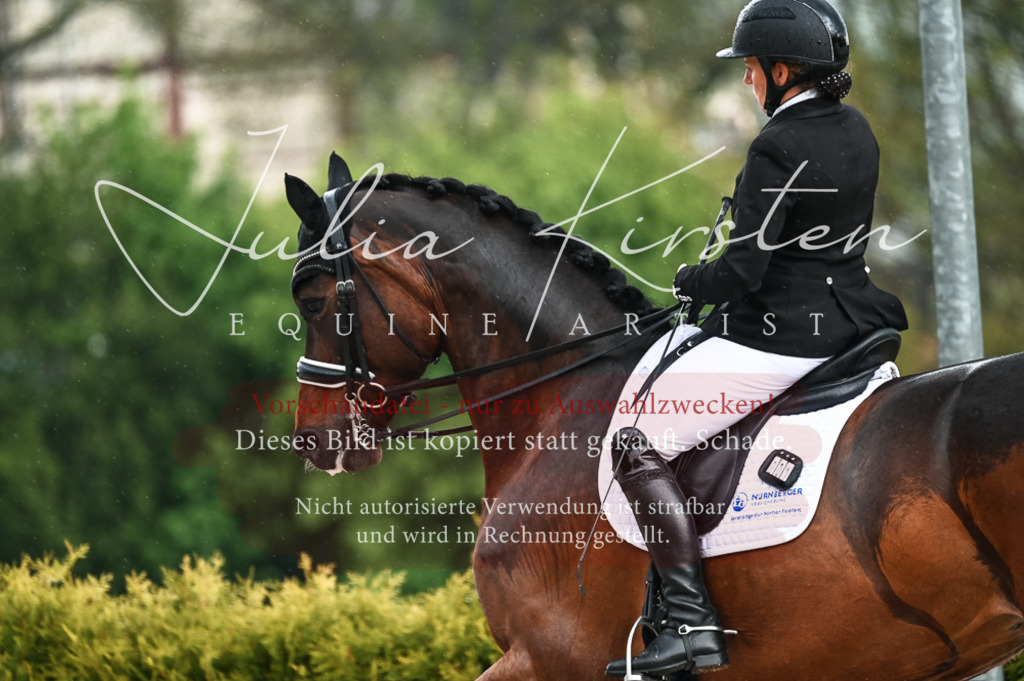 DSC_4187 | Pferde- und Turnierfotografie in Westsachsen. Pferdeportraits, Auftragszeichnungen und intuitive Kunst.