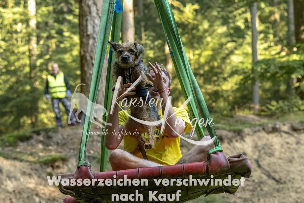 0948_ZZ91977-Bearbeitet | kk-dogfotos