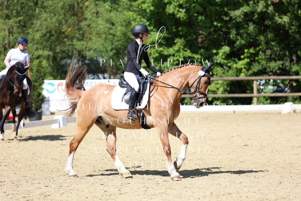 IMGS4051 | pl-fotografie