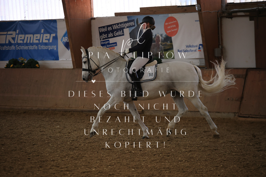 IMGT3653 | pl-fotografie