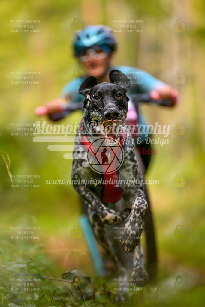 MompixPhotography_Yens2025_B2-7 | PayLife