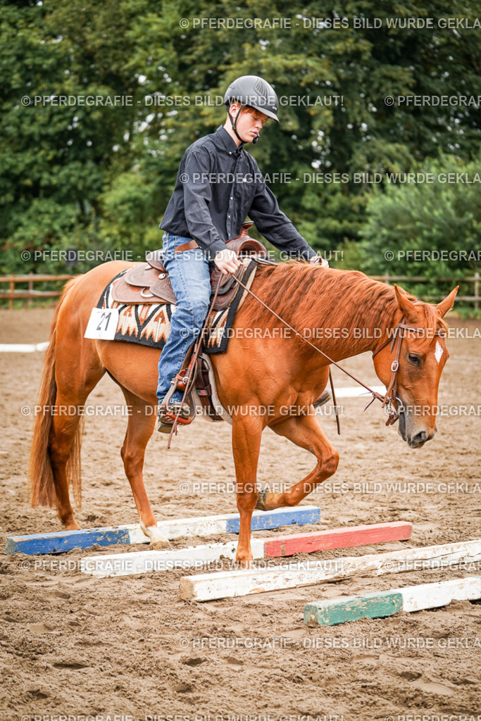 DSC03521 | Pferdegrafie