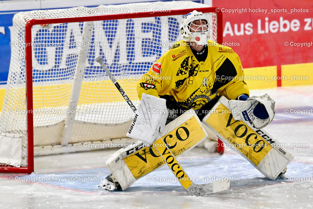 ESC Steindorf vs. EC Spittal Hornets 3.12.2022 | #41 Ameisbichler Lukas