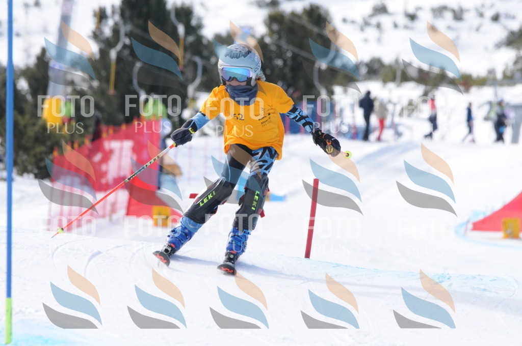 C7342 | holidayphoto