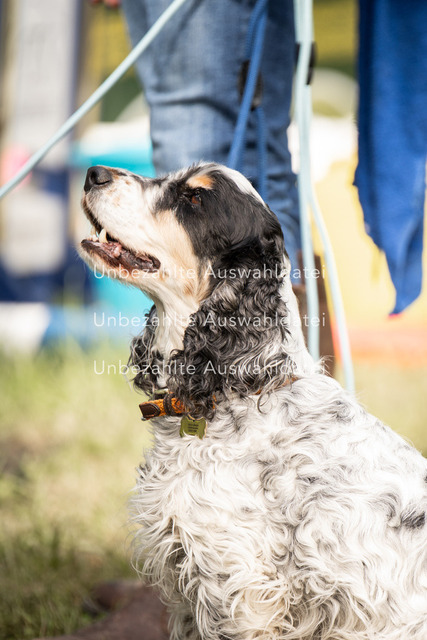 Bad_Meinberg_08394 | saradresslerfotografie - Realisiert mit Pictrs.com