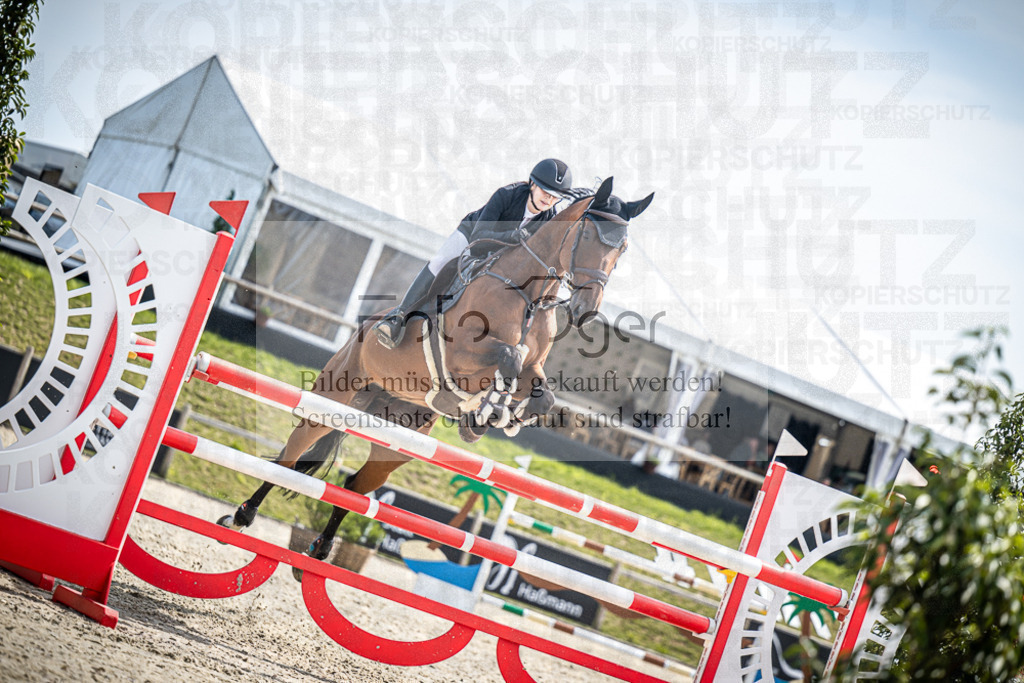 DOS_7863 | Entdecke hochwertige Reitturnierfotos von Foto Oger. Professionell, emotional und authentisch – jetzt Lieblingsmomente im Shop bestellen.Deutschlandweite Turnierfotografie. - Realisiert mit Pictrs.com