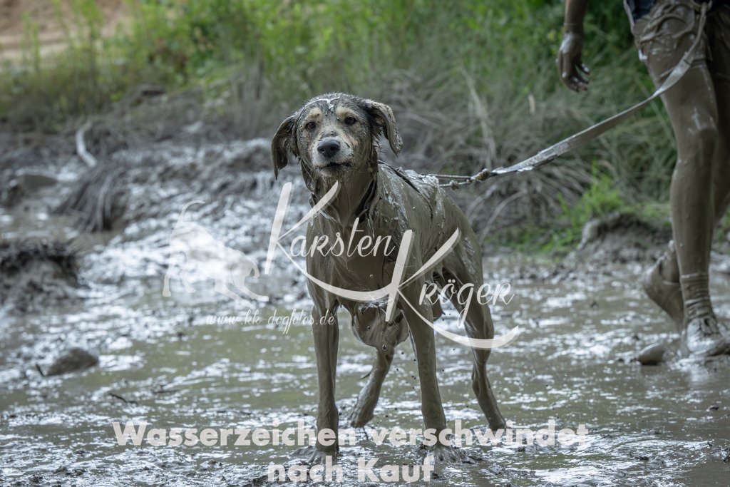 1410_ZZ91392-Verbessert-RR | kk-dogfotos
