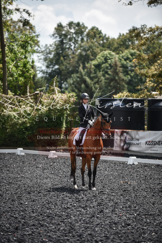 DSC_4351 | Pferde- und Turnierfotografie in Westsachsen. Pferdeportraits, Auftragszeichnungen und intuitive Kunst.