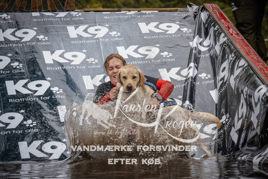 1115_ZZ92408 | kk-dogfotos
