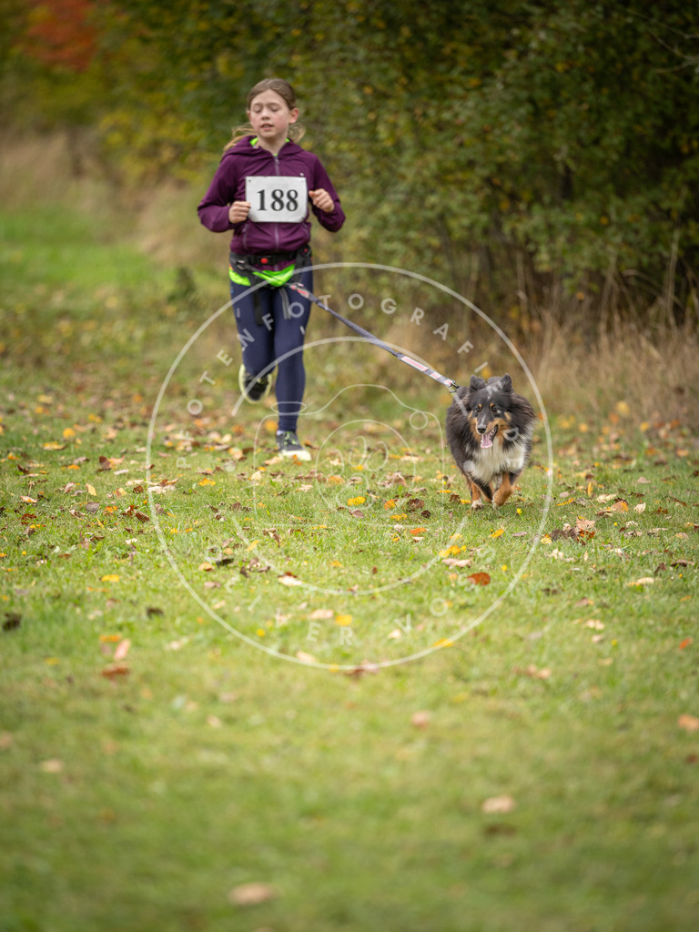 Pfotenfotografie_DV3A3693 | Hundefotografie, Tierfotograf, Pfotenfotografie, Fotoshooting Hund, Hunde Portrait, Hundesport, Hundeportraits, Heideshooting, Hunde, Sportfotograf, Hundefotograf, Turnierhundsport, THS,  - Realisiert mit Pictrs.com
