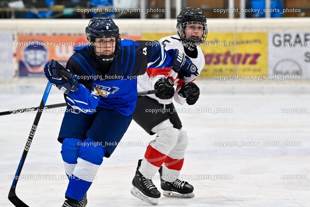 BST_3256 | hockey sports photos, Pressefotos, Sportfotos, hockey247, win 2day icehockeyleague, Handball Austria, Floorball Austria, ÖVV, Kärntner Eishockeyverband, KEHV, KFV, Kärntner Fussballverband, Österreichischer Volleyballverband, Alps Hockey League, ÖFB, 