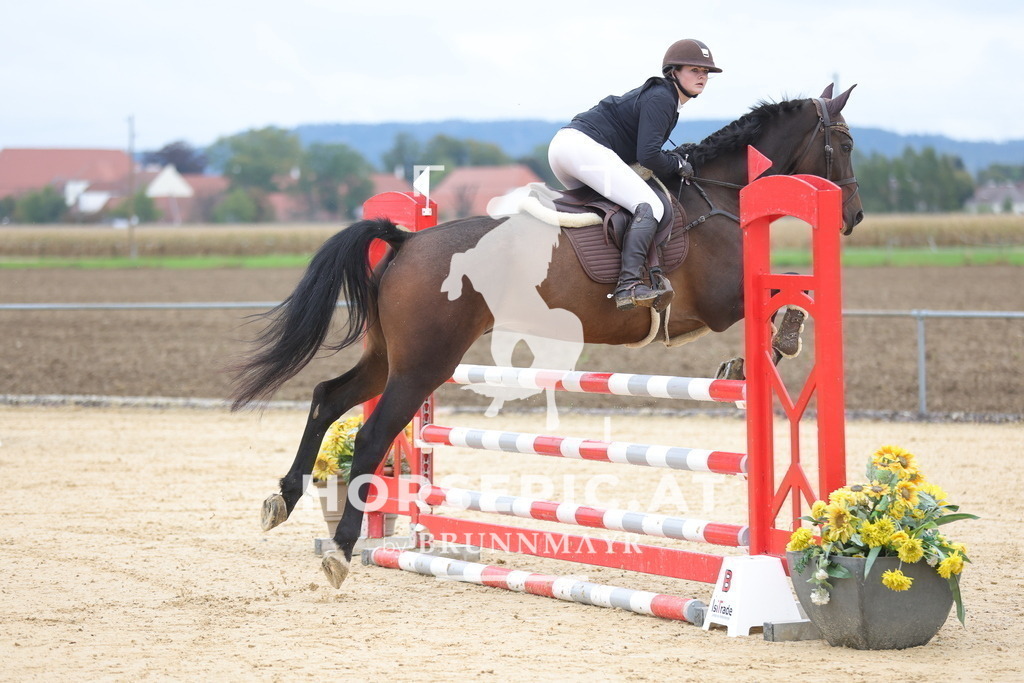 0P6A1124 | Willkommen bei Brunnmayr - Design & Fotografie – Ihrem Spezialisten für Reitturniere und Pferdeveranstaltungen in Oberösterreich, Salzburg und Bayern! Seit über 17 Jahren sind wir leidenschaftlich dabei.