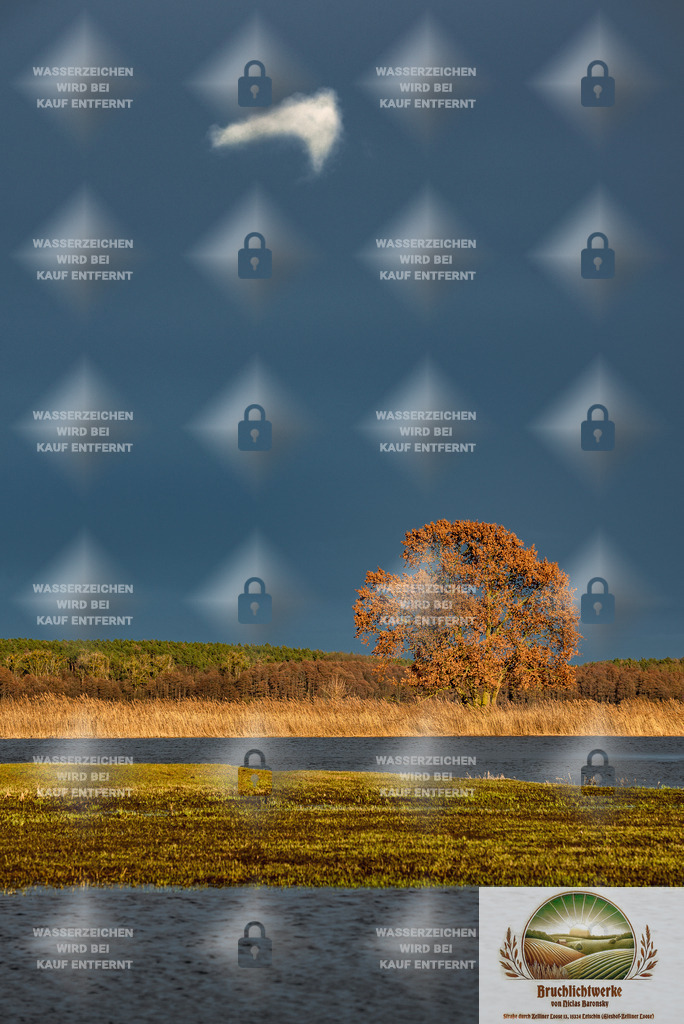 Drachenwolke im Abendlicht | Professioneller Fotograf mit 10 Jahren Erfahrung. Landschafts- und Hochzeitsfotografie im Oderbruch. Workshops und beeindruckende Bilder für besondere Momente.