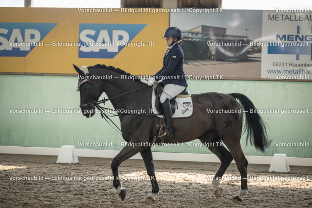 _D5A5800 | Emotionale Pferde- & People-Fotografie rund um Heidelberg, Leimen & Umgebung. Natürliche Fotos von Pferd, Mensch & Familie. Jetzt Termin sichern!