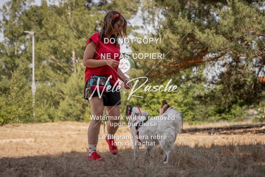 nelerasche_soDD2_401 | nelerasche