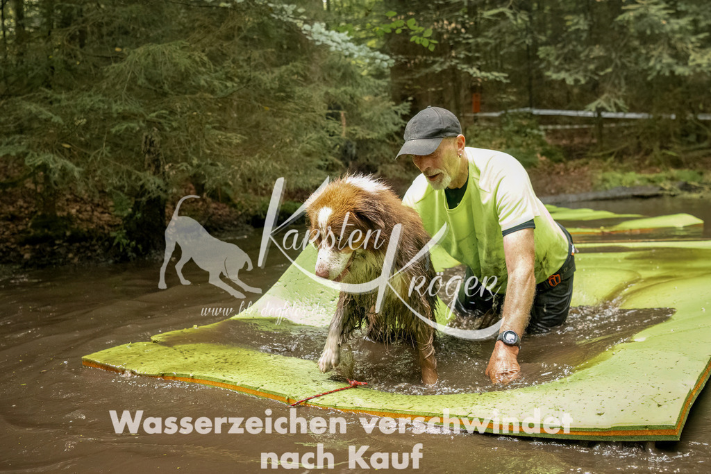 1231_ZZ90093-Bearbeitet | kk-dogfotos