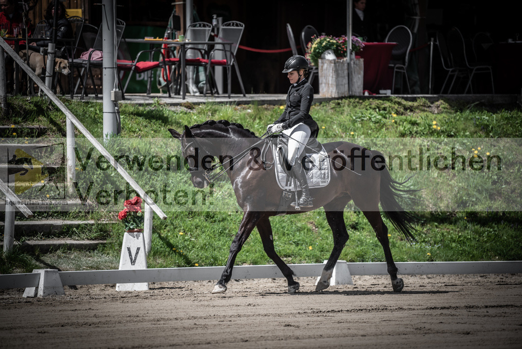 DSC_1604 | equestrian-live-com