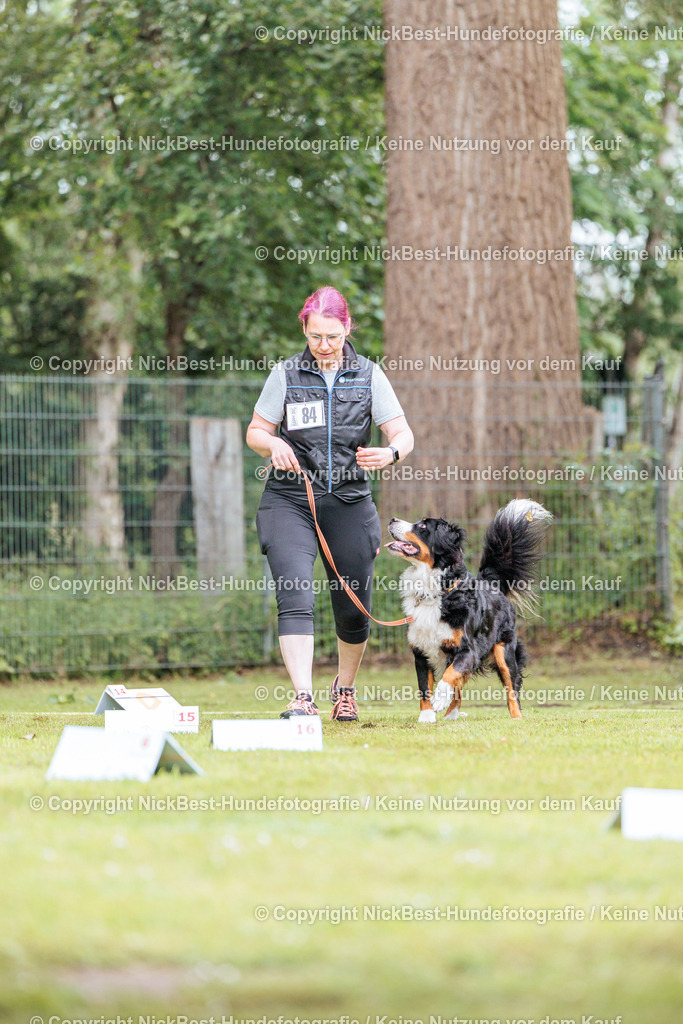 RO-Blumenthal-2026-Nickbest-Hundefotografie-3832 | Dein Hund! Dein Moment! Deine Erinnerungen! Hundefotografie in Bremen Blumenthal. Ich fange die besonderen Momente deines Vierbeiners ein – ob Indoor mit Blitzanlage oder in der freien Natur. Sicher dir dein Moment und dein Termin für eure Erinnerungen.
