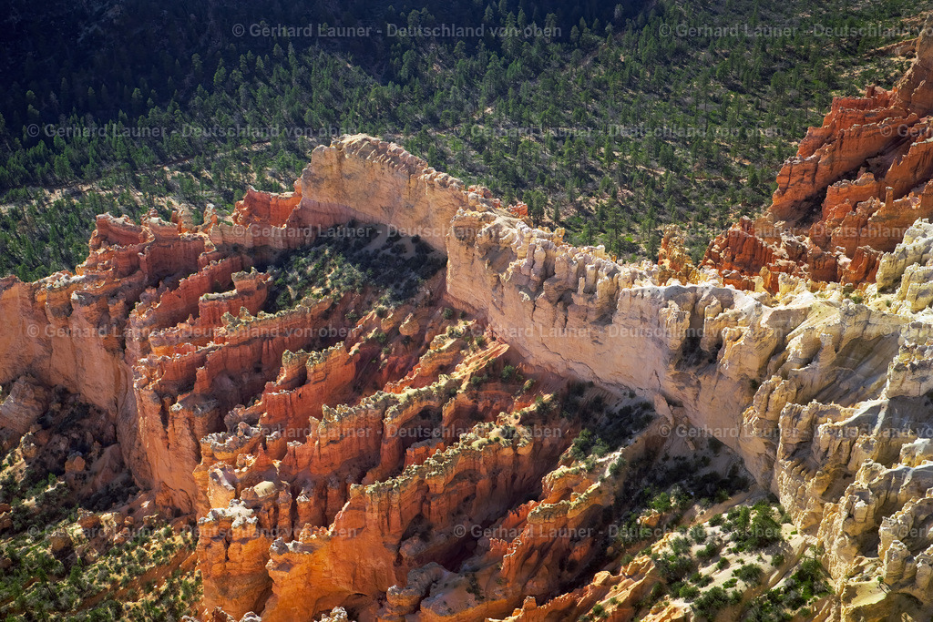 USA5591 | Bryce Canyon, Utah, USA, 1999
