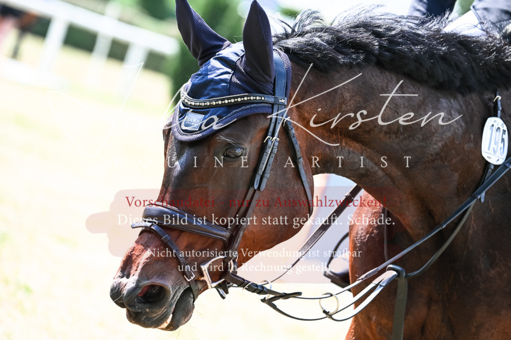DSC_8776 | Pferde- und Turnierfotografie in Westsachsen. Pferdeportraits, Auftragszeichnungen und intuitive Kunst.