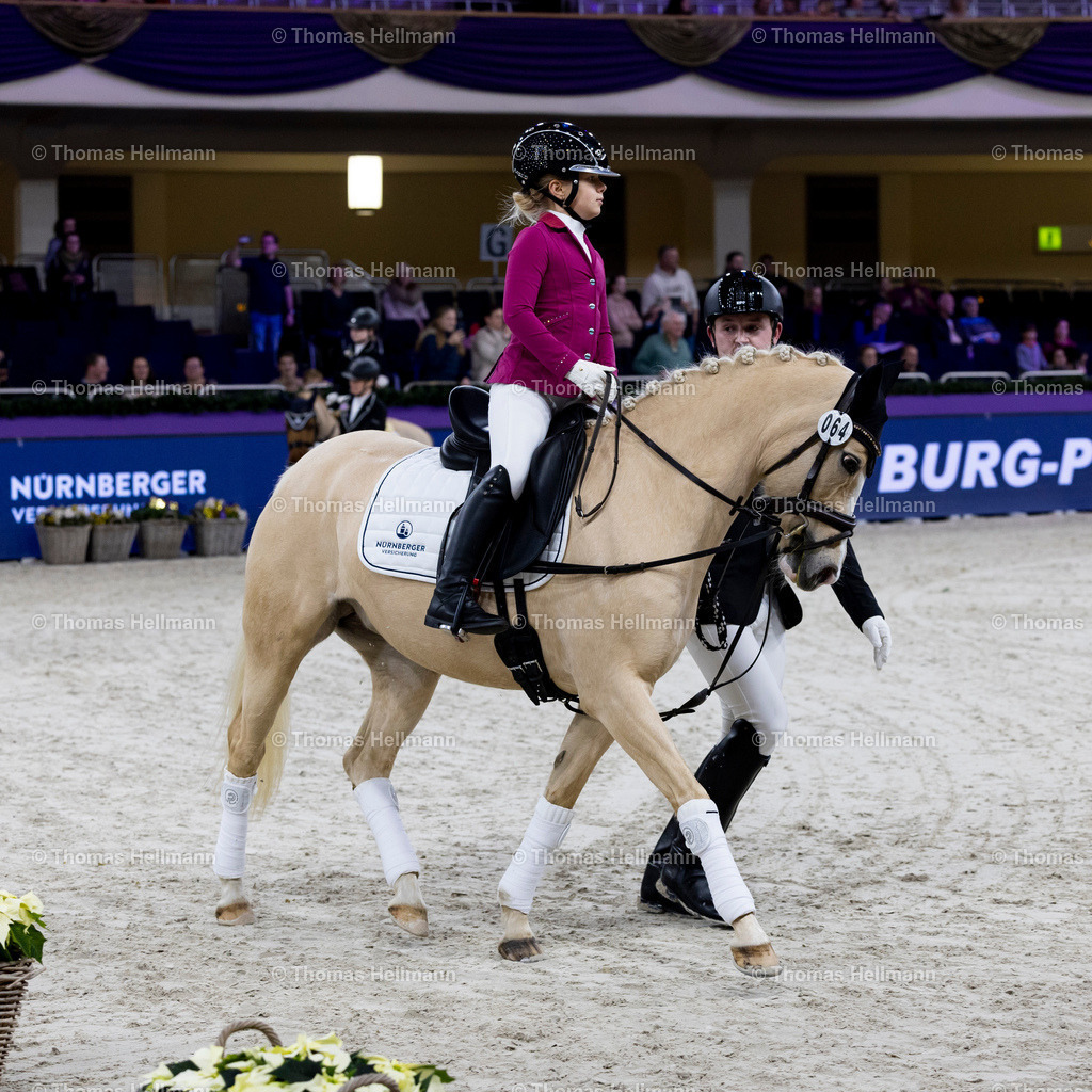 TH_Nürnberger Burgpokal Führzügelwettbewerb_13256 | Nürnberger Burgpokal Führzügelwettbewerb beim Festhallen Reitturnier Frankfurt 2023 am 15.12.23 in Frankfurt, Festhalle