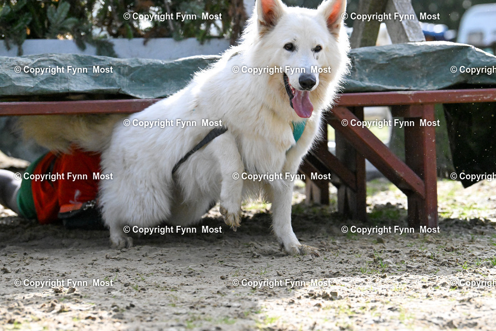 DSC_6258 | Hallo und herzlich Willkommen auf meiner Shop-Seite Fynn Most.

Ich wünsche Dir viel Spaß beim stöbern durch die Bilder, wenn Du Fragen hast oder Bilder vermisst, kannst du mir gerne eine Nachricht schreiben. - Realisiert mit Pictrs.com