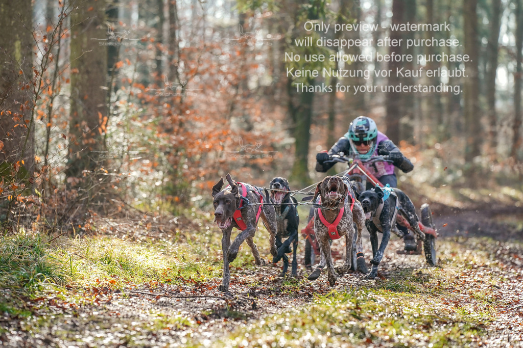 So2_Gespanne-3 | stephaniefillaphotographie - Realisiert mit Pictrs.com