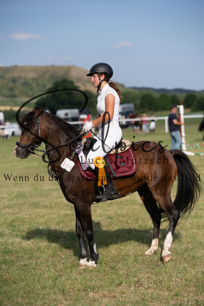 A7V00811 | Pferdefotograf