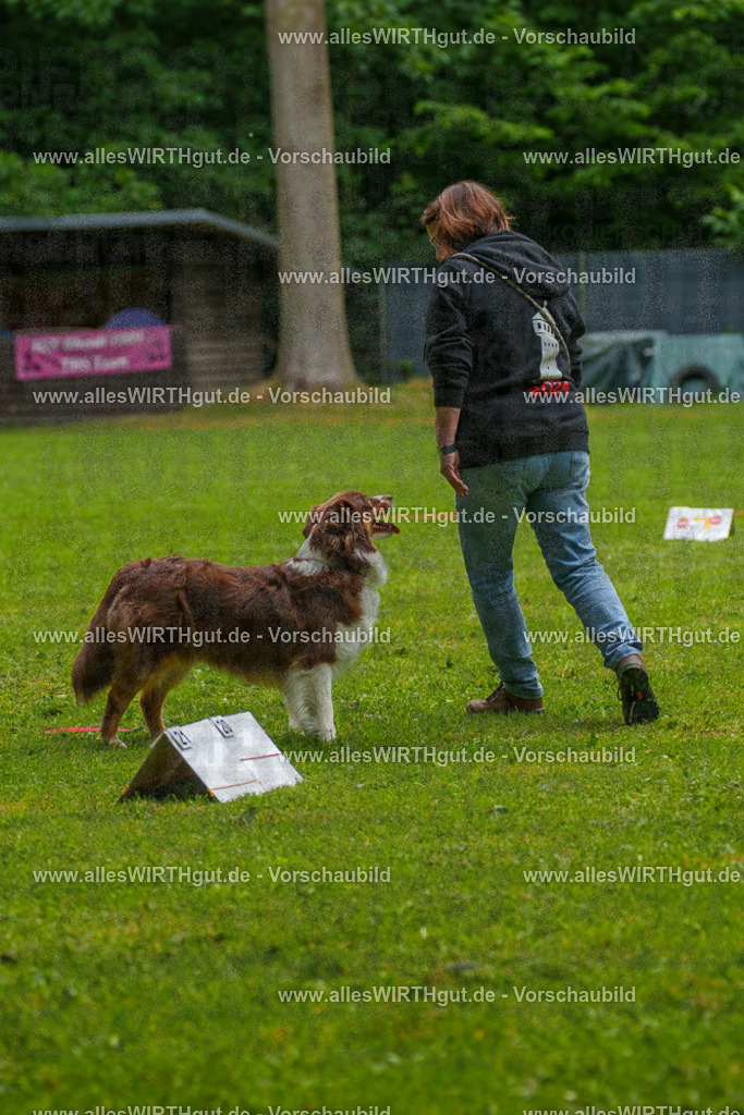 @allesWIRTHgut_Tierfotografie - www.allesWIRTHgut.de - 7R502633 | Professionelle Tierfotografie in Mönchengladbach von Daniel Wirth (allesWIRTHgut). Liebevolle & natürliche Bilder von Hunden & Katzen für unvergessliche Erinnerungen.